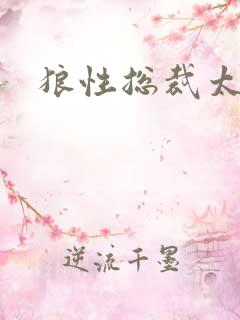 狼性总裁太凶猛