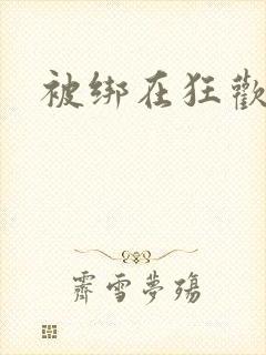 被绑在狂欢之椅