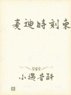 麦迪时刻东北版