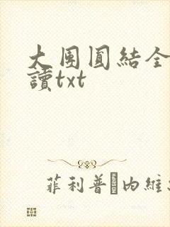 大团圆结全文阅读txt