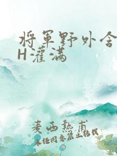 将军野外含公主H灌满