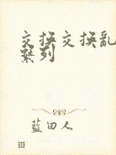 交换交换乱杂烩系列