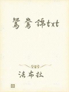 鸳鸯锦txt