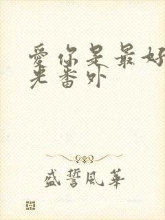 爱你是最好的时光番外