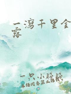 一泻千里金银花露