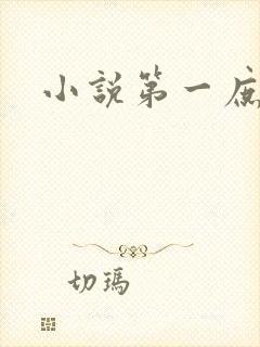 小说第一庶女