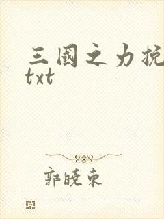 三国之力挽狂澜txt