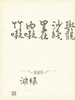 竹内里沙与黑人嗷嗷在线观看