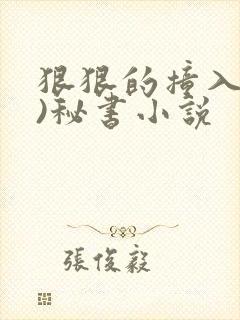 狠狠的撞入(h)秘书小说