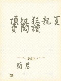 顶级狂龙夏天免费阅读