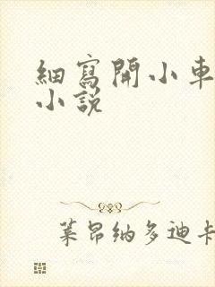 细写开小车车的小说