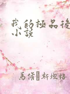 我的极品后宫 小说