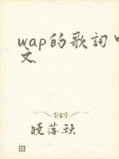 wap的歌词中文