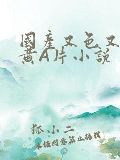 国产又色又爽又黄A片小说