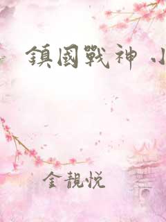 镇国战神 小说