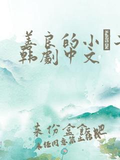 善良的小峓子2韩剧中文