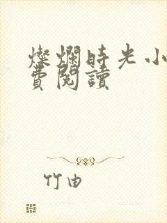 灿烂时光小说免费阅读