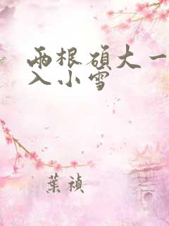 两根硕大一起挤入小雪