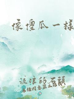 像傻瓜一样去爱