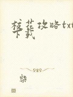 校花攻略txt下载