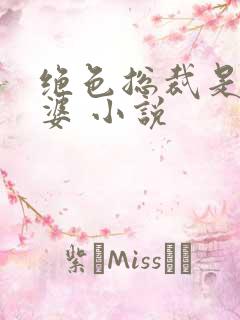 绝色总裁是我老婆 小说