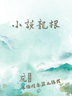 小说龙根