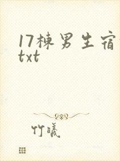 17栋男生宿舍txt