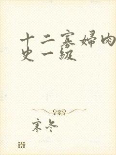 十二寡妇肉床艳史一级