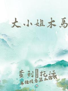 大小姐木马