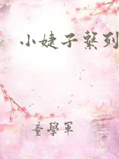 小婕子系列小说