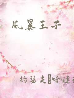 风暴王子
