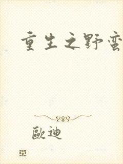 重生之野蛮盗贼