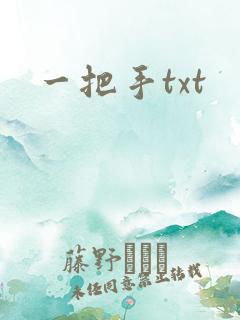 一把手txt