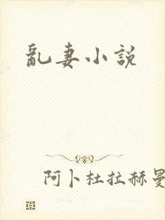 乱妻小说