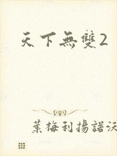 天下无双2