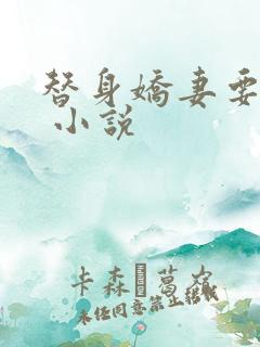 替身娇妻要离婚 小说