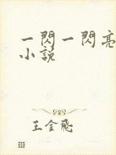 一闪一闪亮星星小说