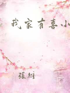 我家有喜小说