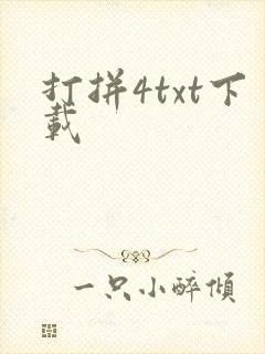 打拼4txt下载