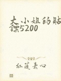 大小姐的贴身保镖5200