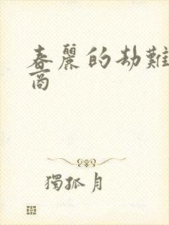 春丽的劫难军火商