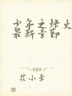 少年之烽火岁月最新章节