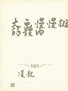 大龟慢慢挺进我的体内