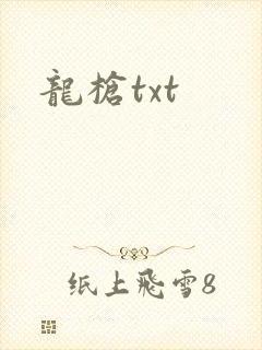 龙枪txt