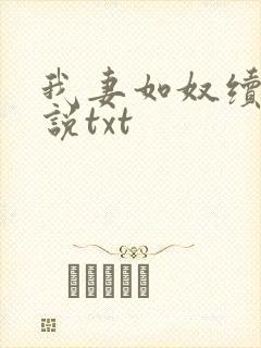 我妻如奴续写小说txt