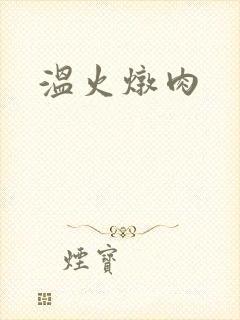 温火炖肉