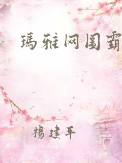 玛雅网图霸天下