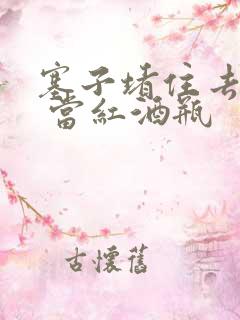 塞子堵住去上学 当红酒瓶