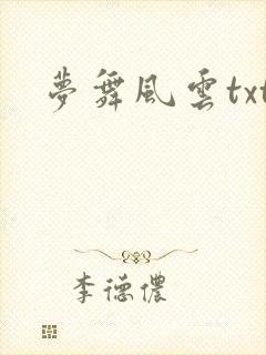 梦舞风云txt
