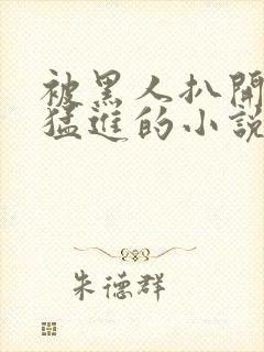 被黑人扒开双腿猛进的小说